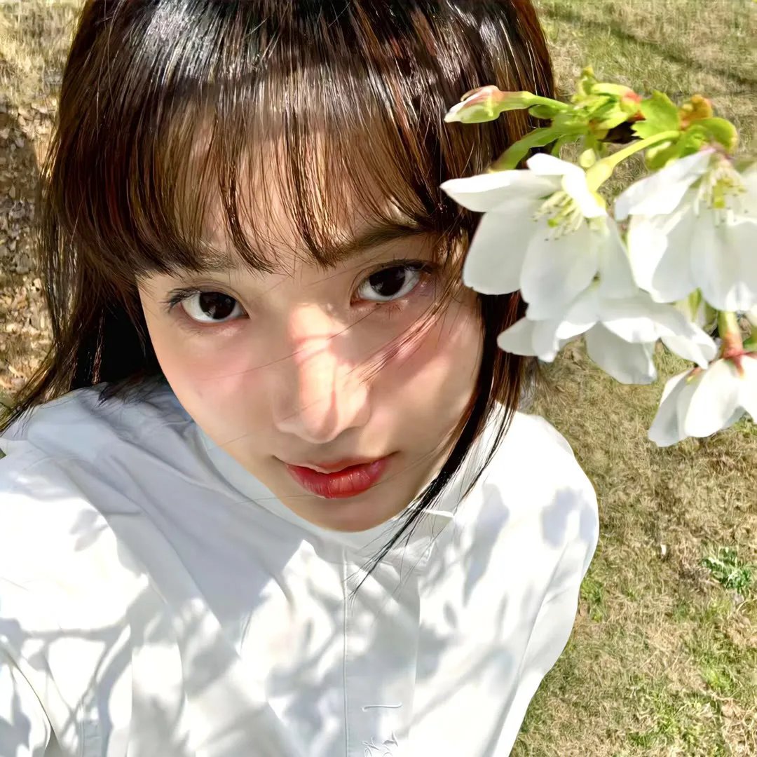 包青天之开封奇案